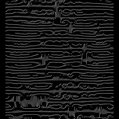 Lines field