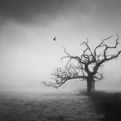 HANGMAN'S TREE - ANOTHER WORLD 4