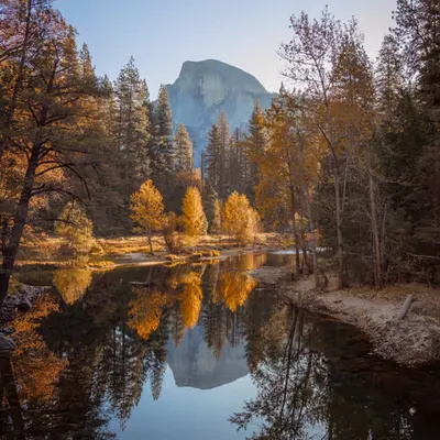 Reflections
