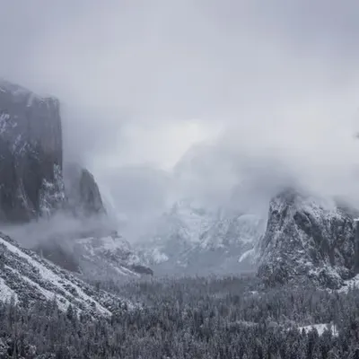 Snowsemite 2