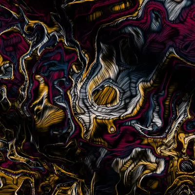 Everything #2
