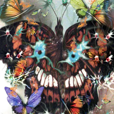 Butterfleye