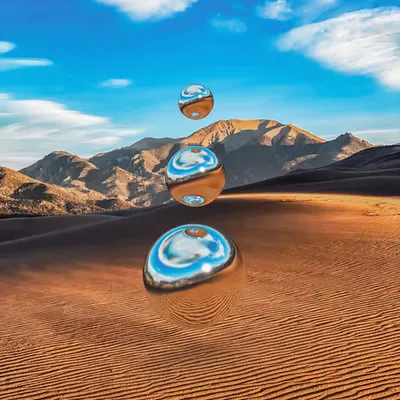 •••