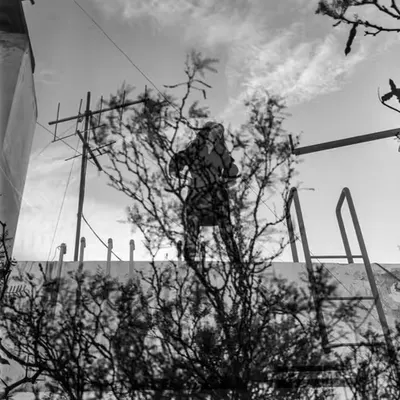 Rhizome //02