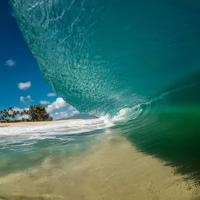 Hauoli