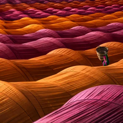 strawberry greenhouse-1