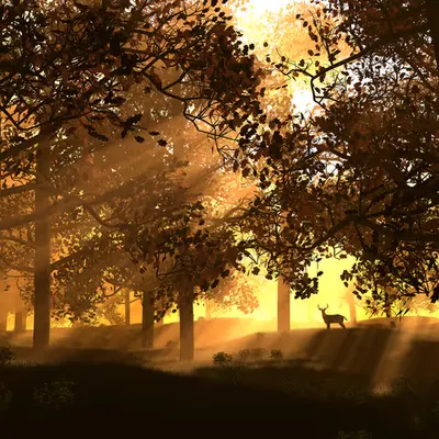 Glenwood (2000)