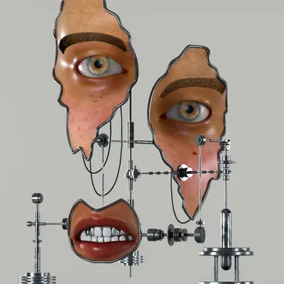 ANGRYFACE INSTALLATION