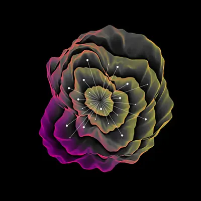 Flora Study #1/3
