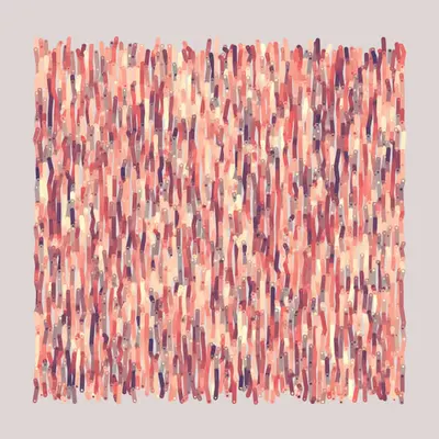 Bicycles - Vivid Tangerine