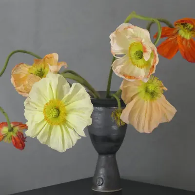 Still Life (Special edition)