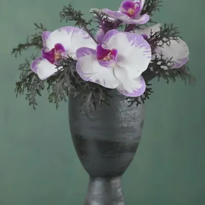 Still Life (Special edition)