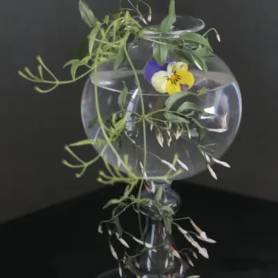 Still Life (Special edition)