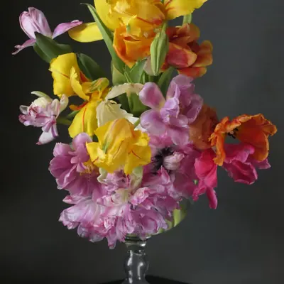Still Life #1