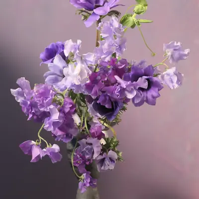 Still Life #2