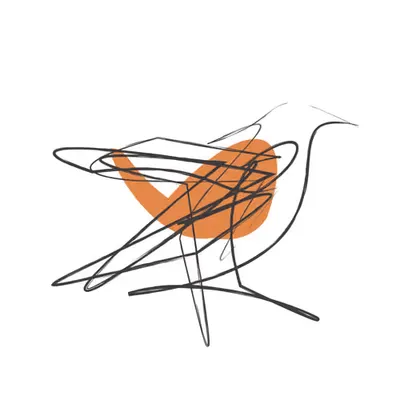 Bird 02