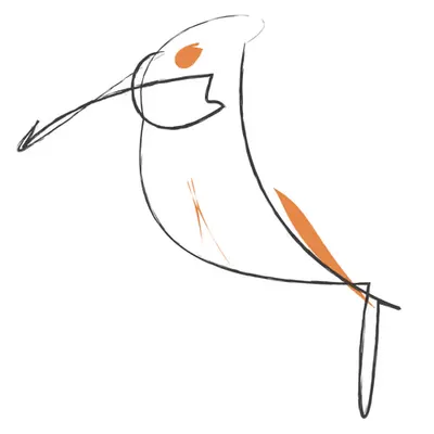 Bird 06, the Woodpecker