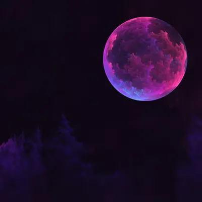 MOON BAY