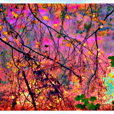 Autumn Blaze #001