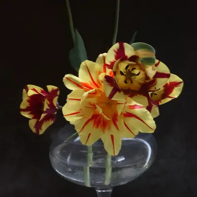 Still Life #4