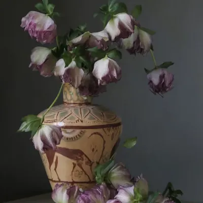 Still Life #5