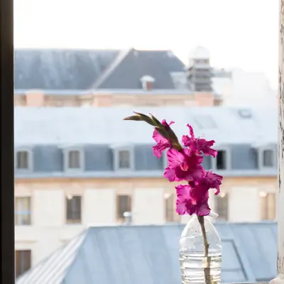 Paris Study #2