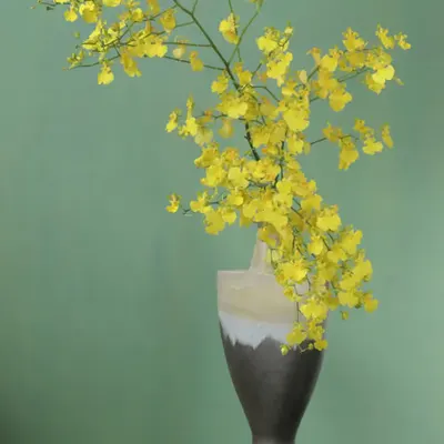 Still Life #6