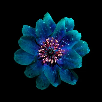 ❀.4