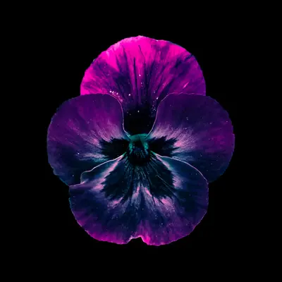 ❀.5