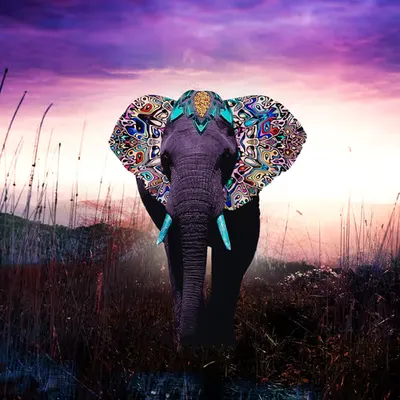 Mystical Elephant