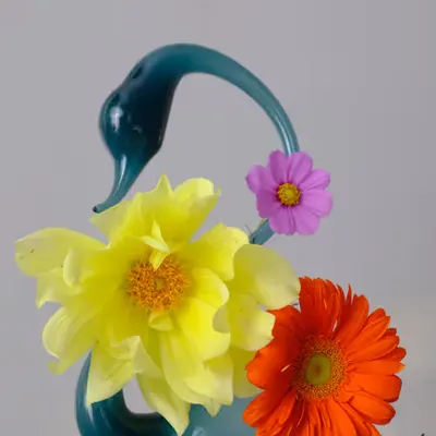 Still Life #8