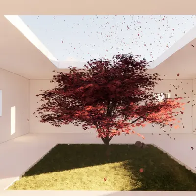 Leaf the room I
