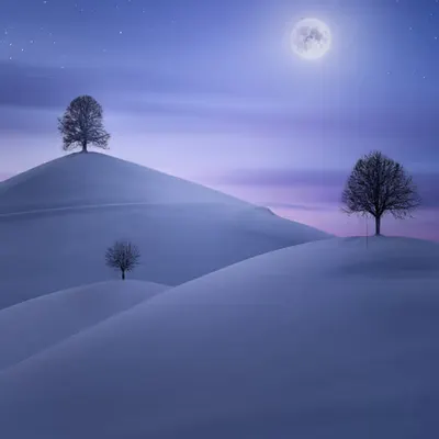 A Winter Night