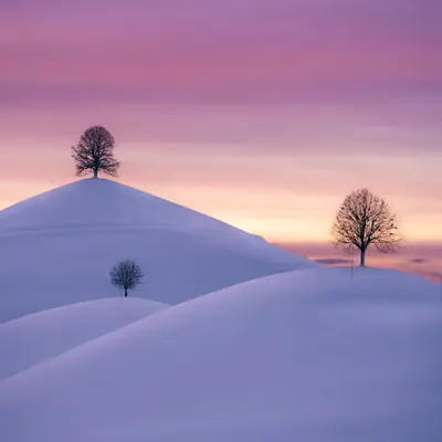 Some Pink Trees