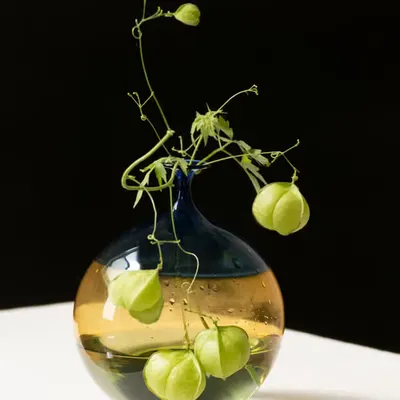 Still Life #11