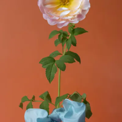 Madame de Pompadour #1