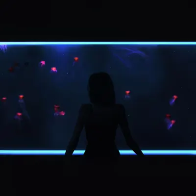 Love and Dimensions