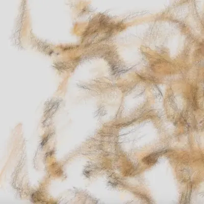Towards a Newer Generative Cat c24