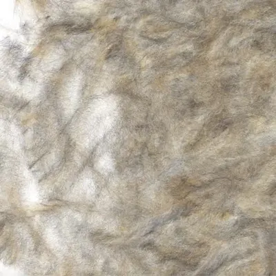 Towards a Newer Generative Cat tc59