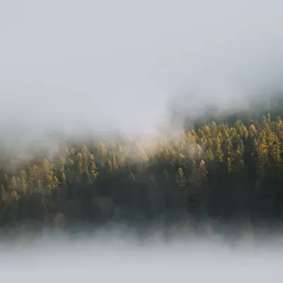 Silence