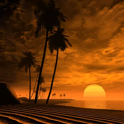 Tropic of Capricorn (1999)