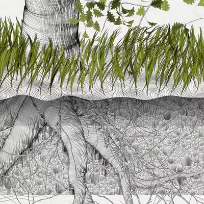 The Oak Tree part #0,-1