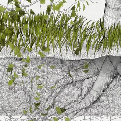 The Oak Tree part #-1,-1