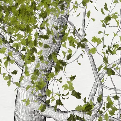 The Oak Tree part #0,0