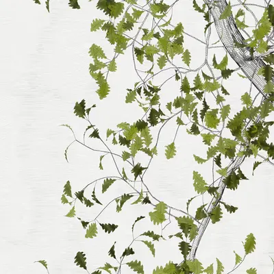 The Oak Tree part #-1,0
