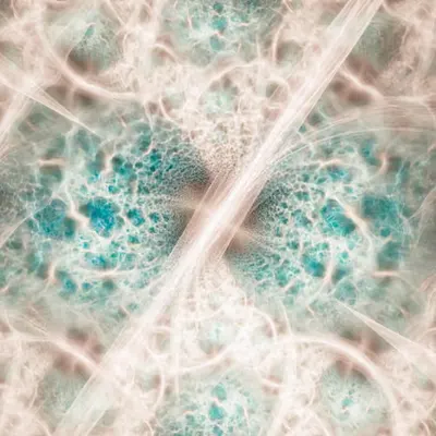 Fractal Visuals XIII