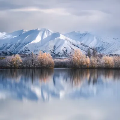 The Frost