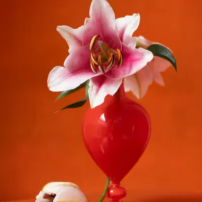 Lilies in a Vase