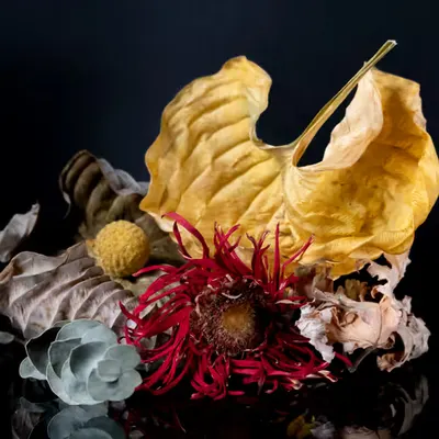 Adieux (Flowers and Leaves)