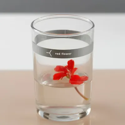 Red Flower